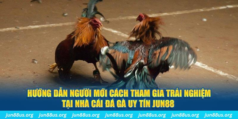 88i bet loi game dot kich ket noi may chu that bai