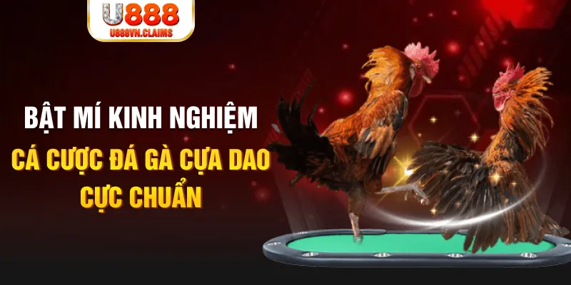 88i bet xổ số miền nam xổ số miền nam