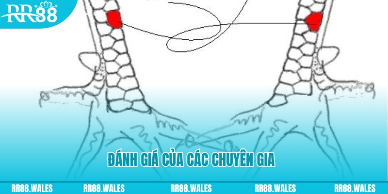 88i bet V8 Game Bài 3d