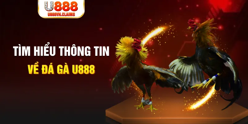 88i bet đăng nhập tiến lên miền nam hàng đầu