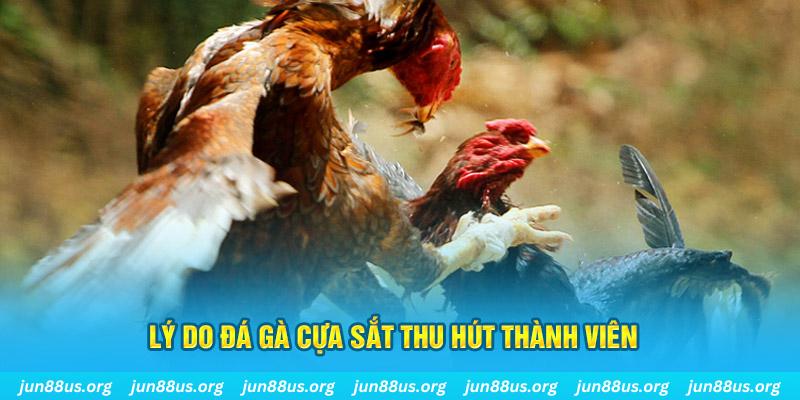 88i bet chiếm slot là gì