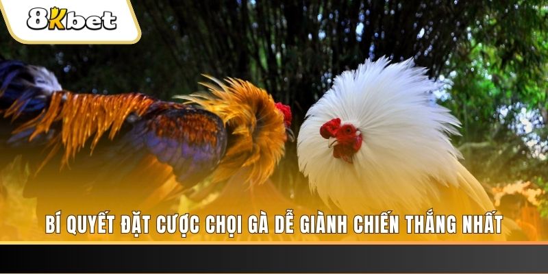 88i bet xổ số thứ hai hàng tuần