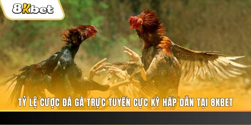 88i bet baccarat online bịp như thế nào