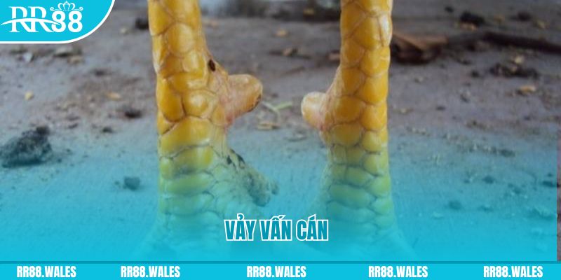 88i bet đăng nhập nổ hũ hôm nay