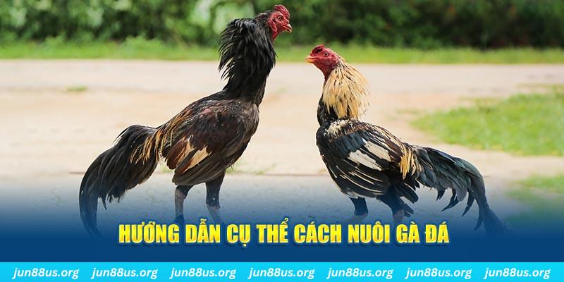 88i bet đăng nhập sòng bạc số 1