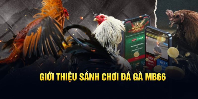 88i bet đăng nhập poker hôm nay