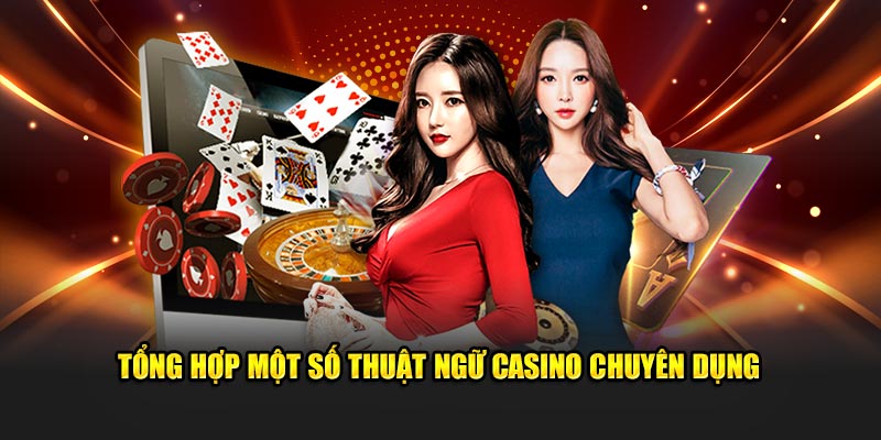 https://www.88i-bet.net/744c099255vi.html